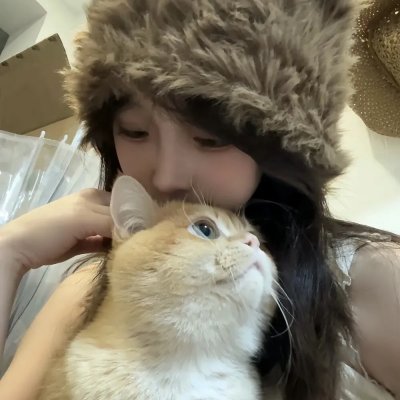 爱是一只猫