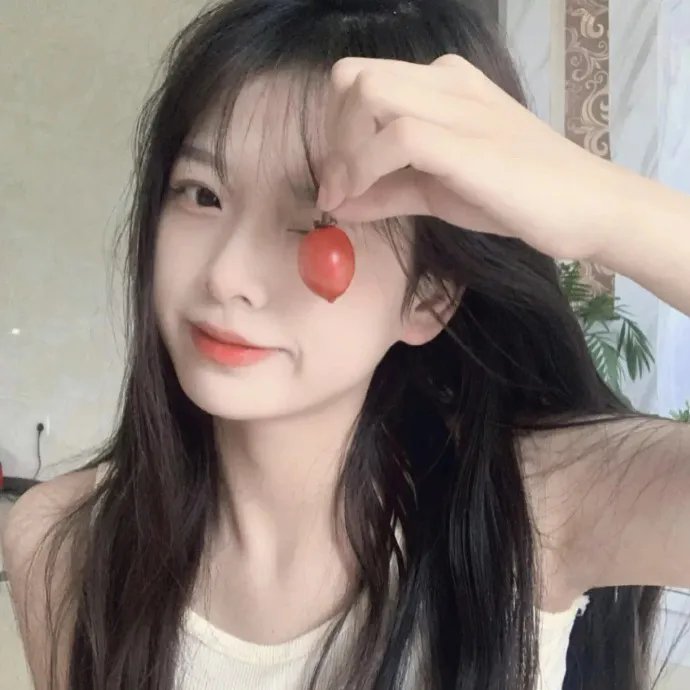 盗贼泰瑞莎